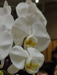 P1100103