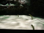 P1140518