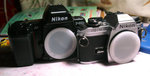 PICT0541