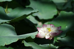 PICT7049