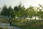 Pict8411