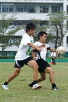 Pict1867