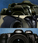 
Without them, it would be a lot more difficult for me to take the very same photos.  They may not be the best cameras, but they are my best companions.  They never fail me.  I know I can rely on them.
