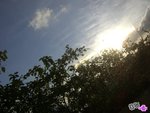 CIMG5774