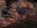 IMG_6931