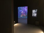 IMG_7036
