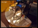 P1010606