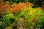 DSC02644
