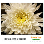 PC252239