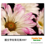 PC252240