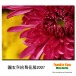 PC252281