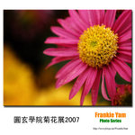 PC252295