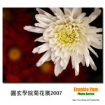 PC252349