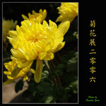 PC027954