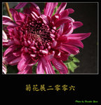 PC027955