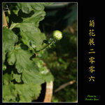 PC027958