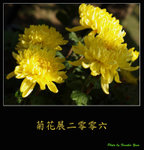 PC027975