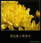 PC027978