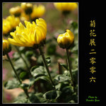 PC027980