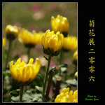 PC027981