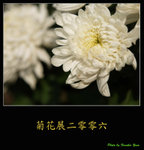PC027982