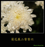 PC027983