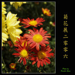 PC027986