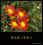 PC027999