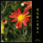 PC028002