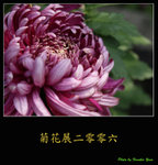 PC028006
