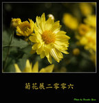 PC028011