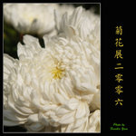 PC028014