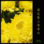 PC028016