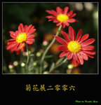 PC028019