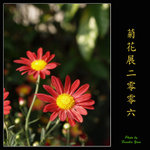PC028020