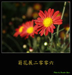 PC028021