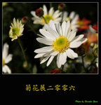PC028024