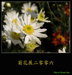 PC028025