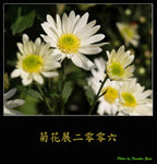 PC028026