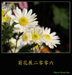 PC028029