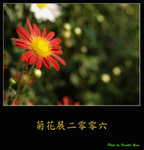 PC028033
