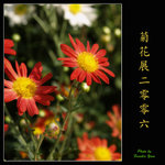 PC028034