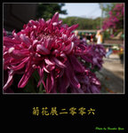 PC028035