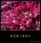 PC028037