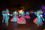 DSC05666