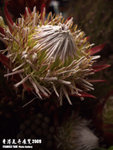P3136772