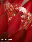 P3136912