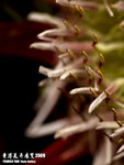 P3136920