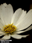 P3136941