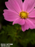 P3136976